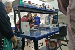 3253745565316136554075061271047326028353636n