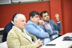 DELEGADO-PRESIDENCIAL