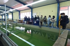 mechones-naval