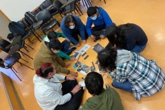 mechones-uaaep5