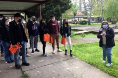 IMG4999