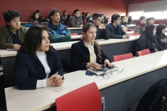 Workshop-Geotecnia-2022-Ingenieria-UACh-5
