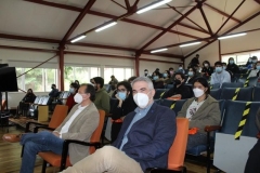 mechones-fci3