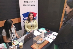 Feria-Laboral-Alumni-Ingenieria-UACh-6