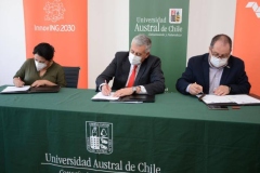 Convenio-Innoving-Ci20309