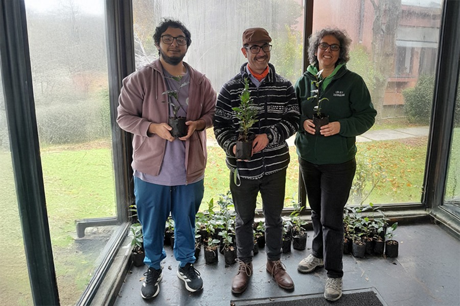 Plataforma digital desarrollada por estudiante de Informática UACh optimizará el monitoreo de las campañas de arborización