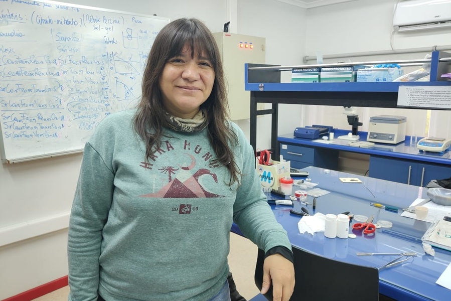 Académica de Ingeniería UACh lidera proyecto FOVI que busca impulsar generación eléctrica de bajas emisiones con combustibles alternativos